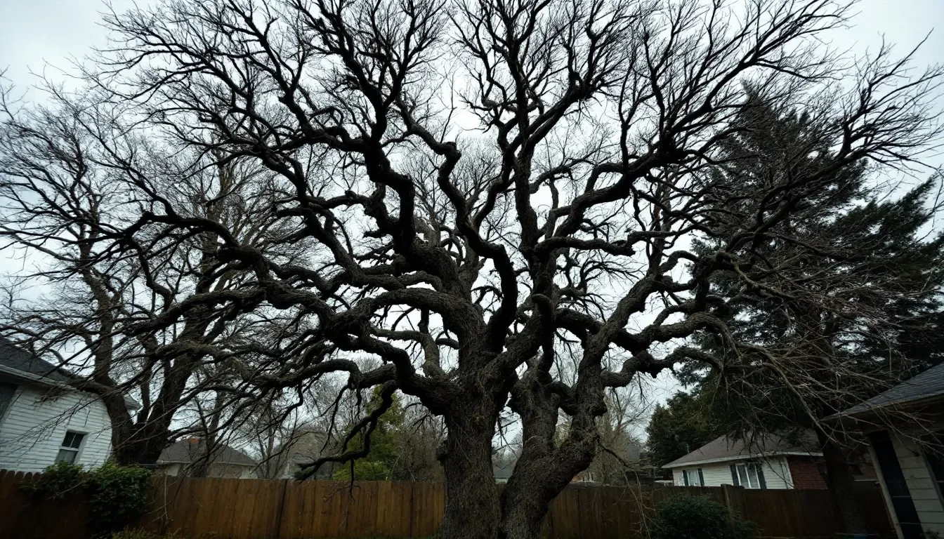 Ornamental Tree Pruning in Canton